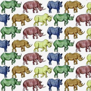 Rainbow Rhinos