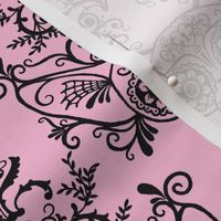  Sugar Skull Sphynx Cat Damask Pink