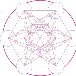 Pink Plain_Metatrons_Cube 40cm diameter