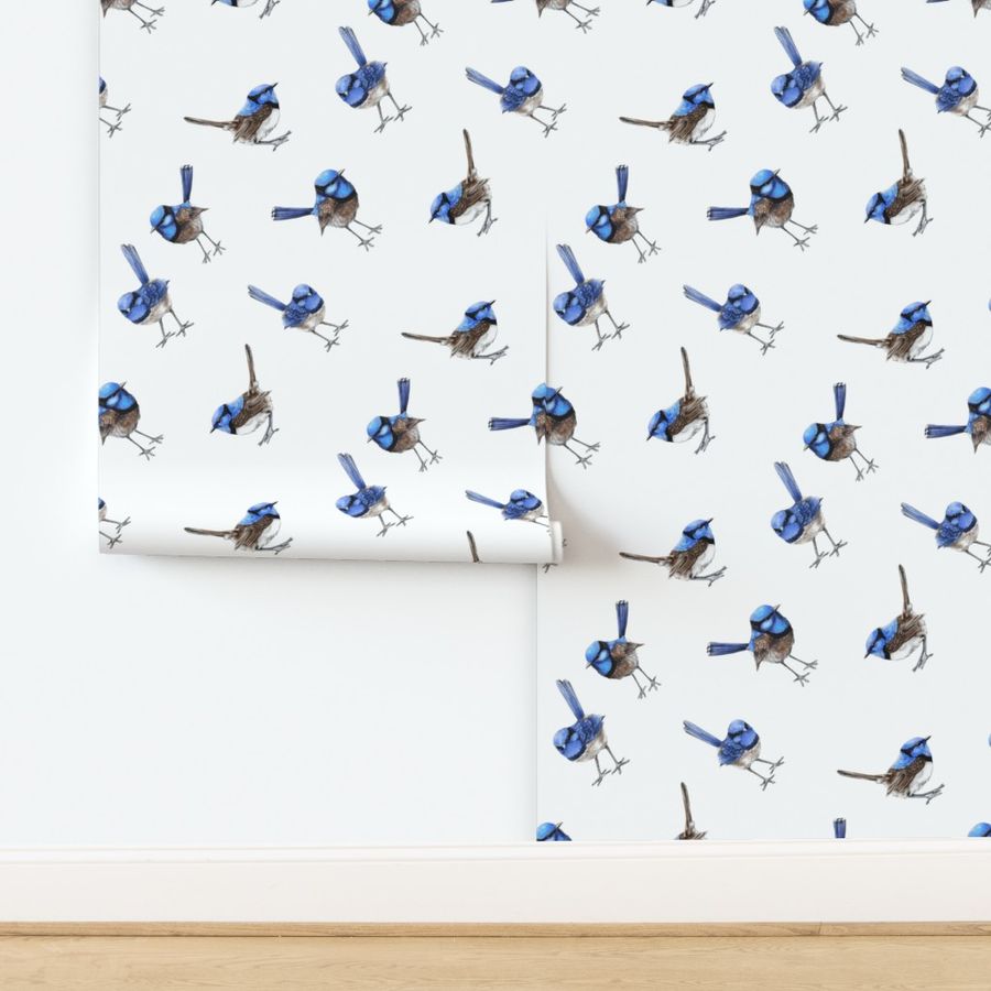 Blue Wrens, BIAS, Scattered on White