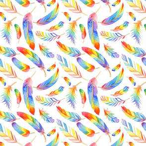 Rainbow feathers