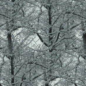 Snow_trees