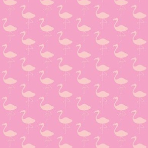 Pink Flamingo - Coral on Pink