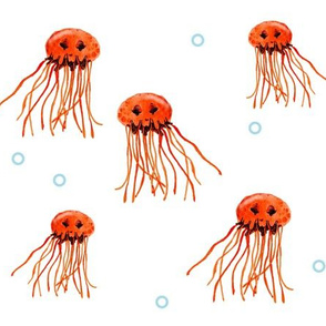 Jellyfish + Bubbles
