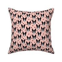 boston terrier // cute boston terriers pink girls sweet dog breed fabric