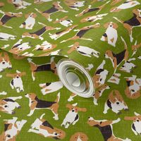 beagle scatter green