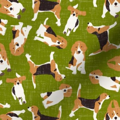 beagle scatter green