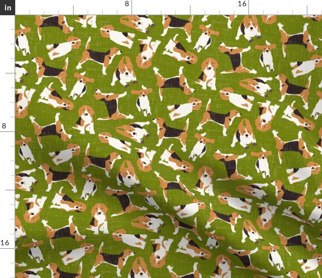 beagle scatter green