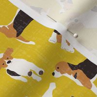 beagle scatter yellow