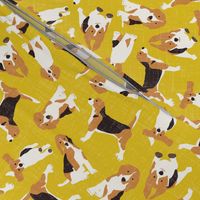 beagle scatter yellow