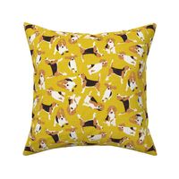 beagle scatter yellow