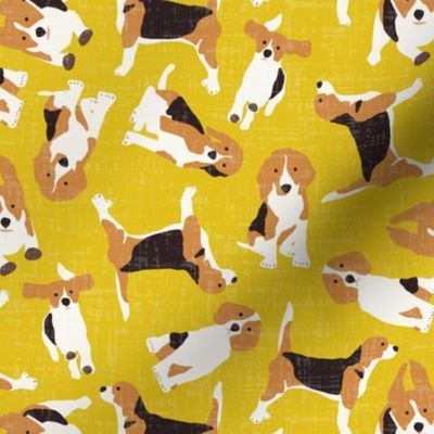 beagle scatter yellow