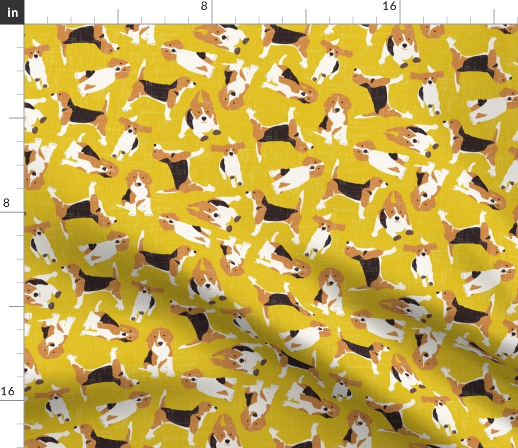 beagle scatter yellow