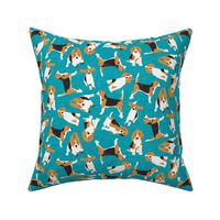 beagle scatter blue