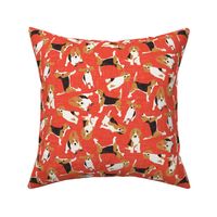 beagle scatter coral red