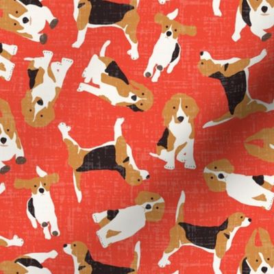 beagle scatter coral red