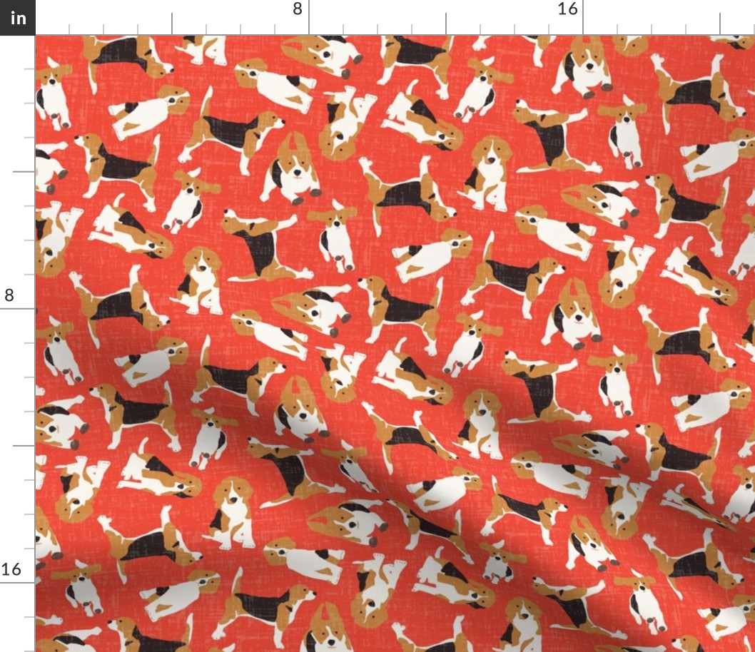 beagle scatter coral red