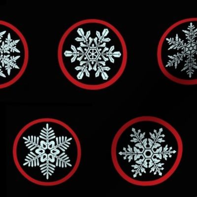 Simon snowflakes 