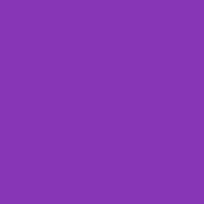 Bright Purple Solid