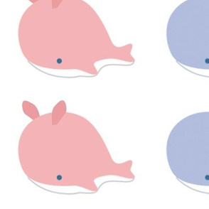 Whales, Narwhals, and Bunny Whales