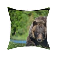 Alaskan Brown Bear Panel