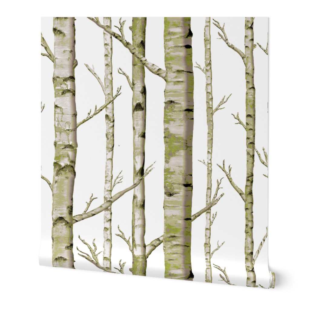 Birch Grove in Moss