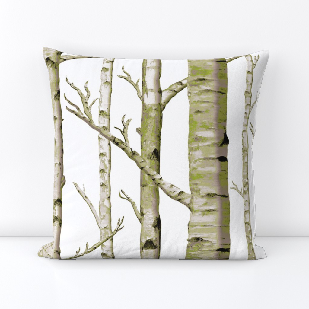 Birch Grove in Moss