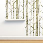 Birch Grove in Moss