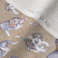 Playful Beagle Pups REVISED