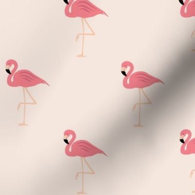 Flamingos on pink