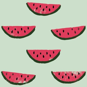 Watermelon Fabric on Green