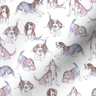 Beagle Pups on white REVISED