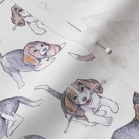 Beagle Pups on white REVISED