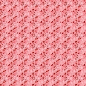 Salmon pink_swirl_4 4 colors_Picnik_collage-ch-ch