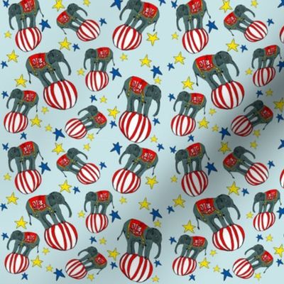 circus elephants 