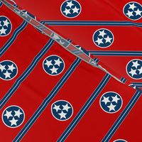 Tennessee Polka Dot ~ Medium