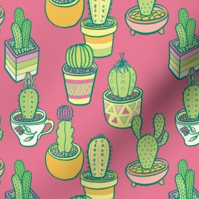 Cactus Garden in Pink