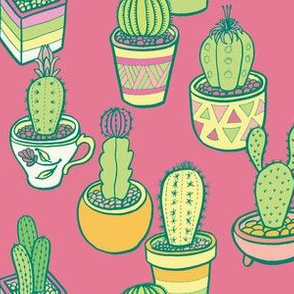 Cactus Garden in Pink