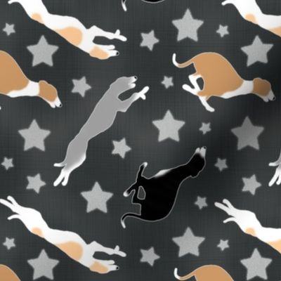 Dashing Whippets and stars