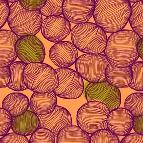 Onions in Coral, Purple and Green