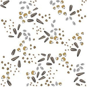 Bird Seeds on White