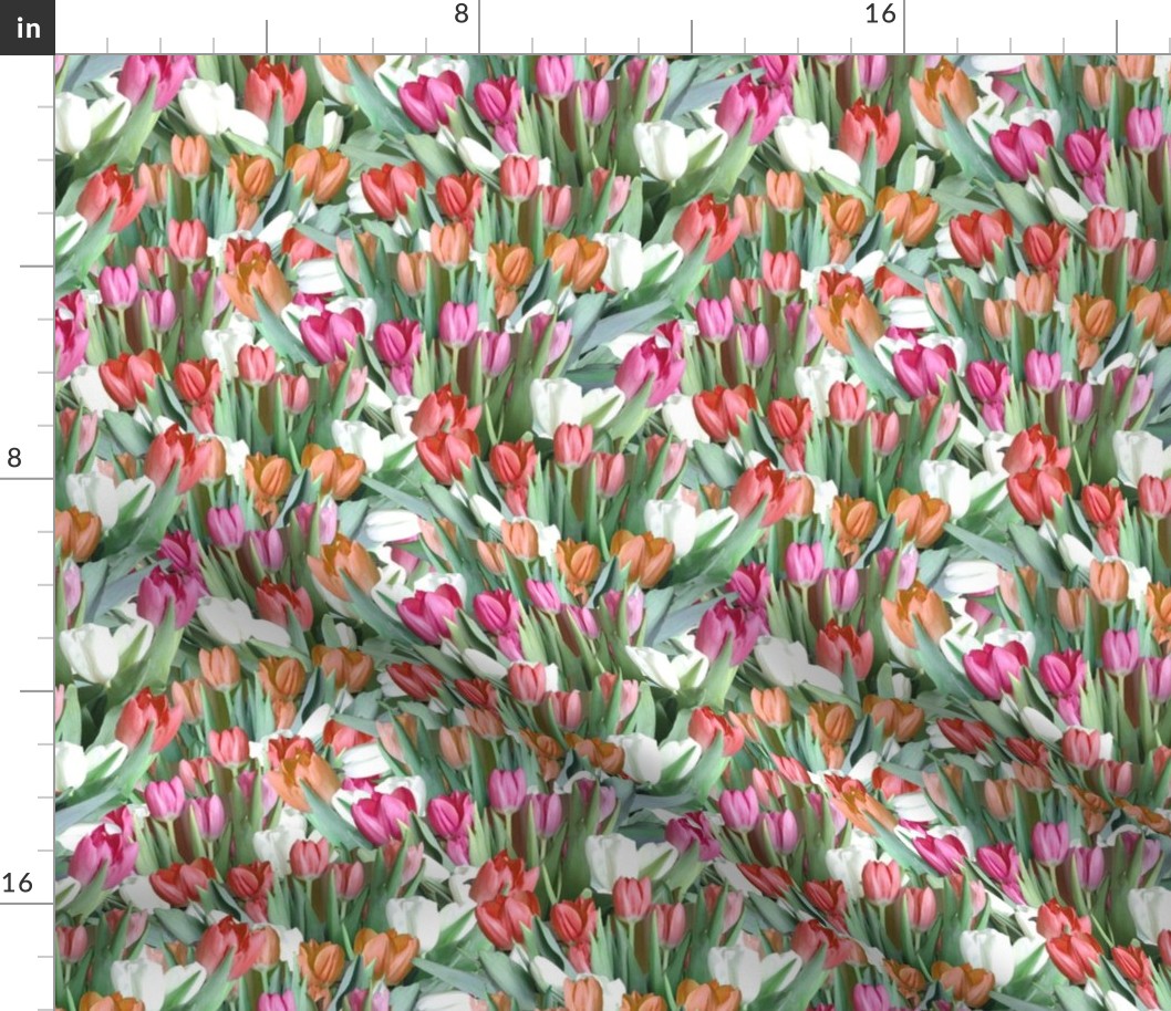 Garden of Tulips - Pink, Orange, Red