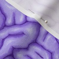 Big Lavender Brains