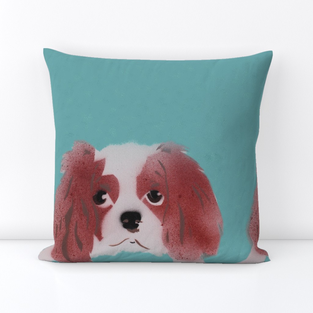 Cavalier King Charles Spaniel Dog