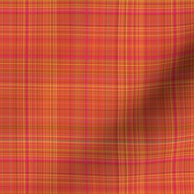 Citrus Plaid 1