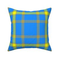 plaid__7_