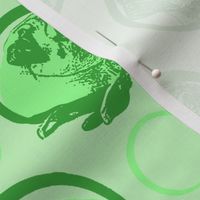 Collared Pug portraits - green