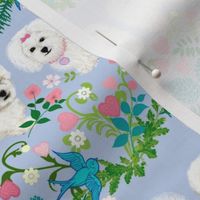 white puppy fabric - Bichon, Maltese, Bolognese, Coton de Tulear, Havnese