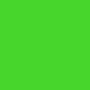 Bright Solid Green