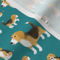 Petits beagles
